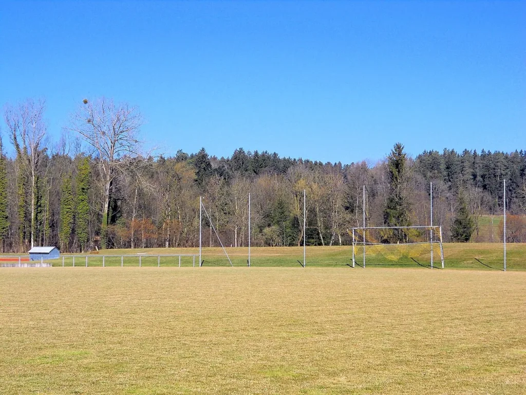 Boisko trawiaste klubu sportowego z trybuną